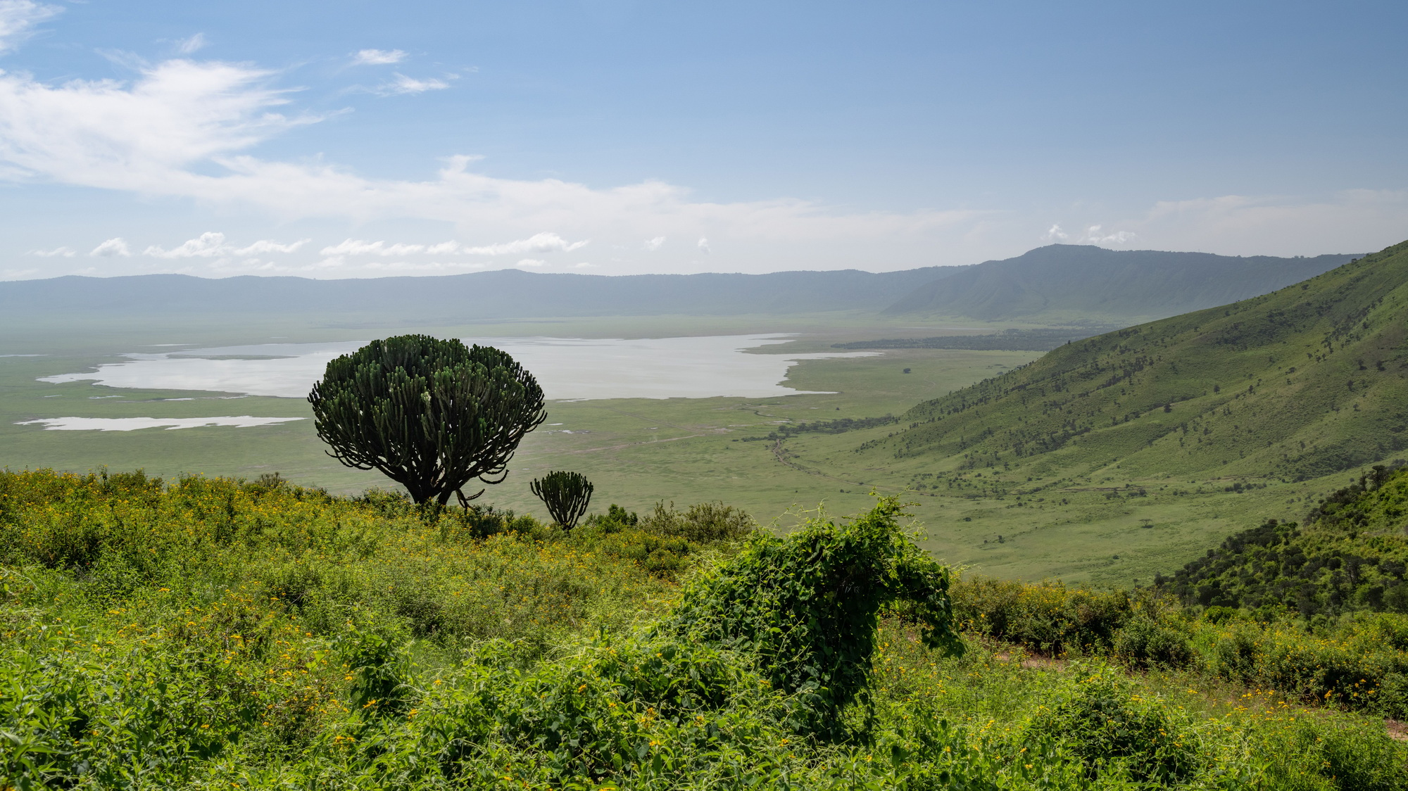 Ngorongoro Crater