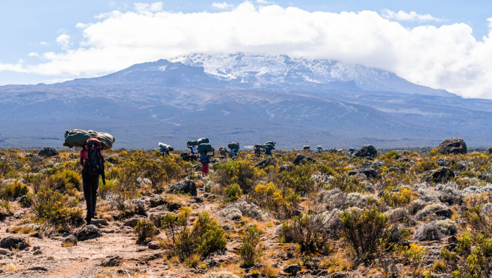 Hikers climbing Mount Kilimanjaro in Tanzania