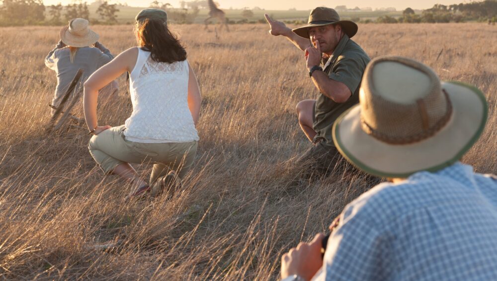 People watching giraffe on safari, Stellenbosch, South Africa