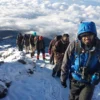 trekkers climbing mt kilimanjaro